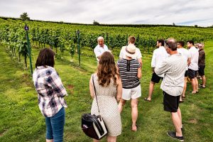 Vineyard Tour Gift Voucher