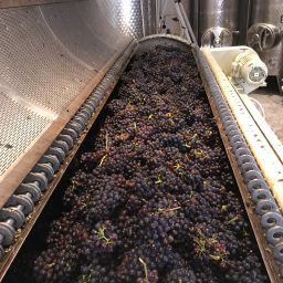 2023 Harvest